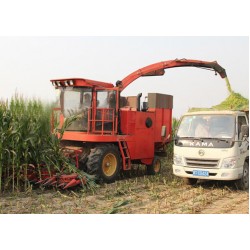 1-BIGDEL 4 SIRALI MISIR SILAJ MAKİNESİ